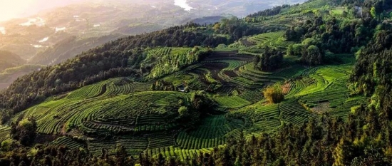 美麗島多焦鏡：這個(gè)明凈新春，以時(shí)間為軸，扶搖直上